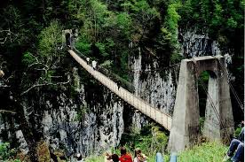Image result for PONT DE SINGE