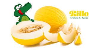 Image result for Melone