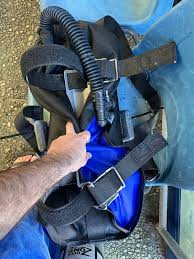 Image result for TAL Divers