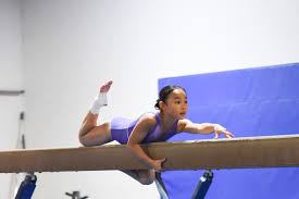 Image result for Breckland Forest Gymnastics Club 2004