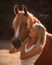 Afbeeldingsresultaat voor paarden