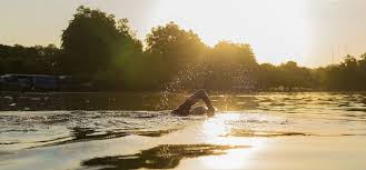 Image result for Serpentine Swimming Club