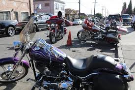 Image result for Bay Dragons CC