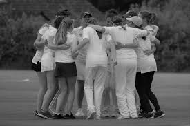 Image result for Worlingworth Cricket Club