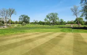 Image result for Amber Valley Gc