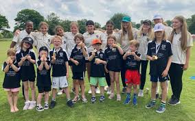 Image result for Hampton Hill Cricket Club