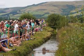 Image result for World Champion Bog Snorkelling Triathlete