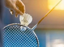Image result for Guildford and District Badminton League