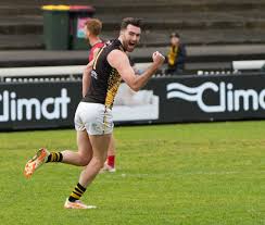 Image result for Capel Football Club