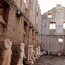 Attēlu rezultāti vaicājumam “Capsus ater imago”