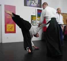 Image result for AikidoFlow