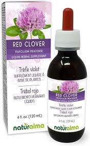 Attēlu rezultāti vaicājumam “Trifolium pratense flower”