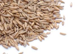 Attēlu rezultāti vaicājumam “Avena sativa”