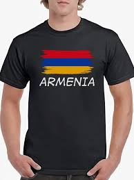 Image result for Футболка с флагом армении