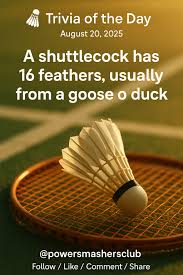 Image result for Feathers Badminton- Leatherhead