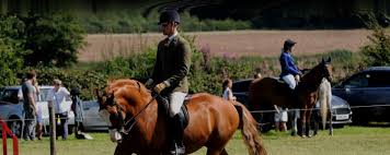 Image result for Blackpool & Fylde Horse Club