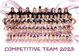 Image result for Hull High Flyers Gymnastics Club