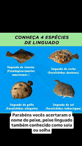 Image result for Paralichthys albigutta