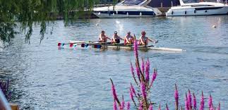 Image result for Weybridge Ladies Amateur Rowing Club