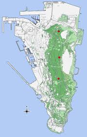 Attēlu rezultāti vaicājumam “Weissia brachycarpa”