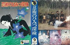 Image result for Bujinkan Lincon Dojo