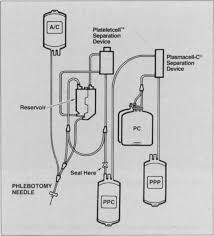 Image result for Autopheresis C