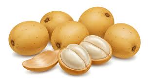 Image result for Lansongammon