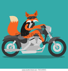 Image result for biker fox