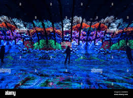 Image result for Deben Sc