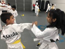Image result for Tkd Self Defense