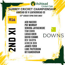 Image result for Ashtead Cricket Club