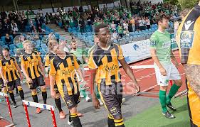 Image result for East Grinstead Town Football Club