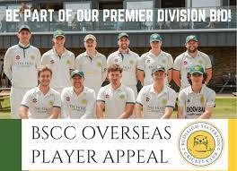 Image result for Budleigh Salterton Cricket Club