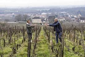 「ジャン・ジェローム・ジョルジュ」の画像検索結果