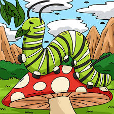 Attēlu rezultāti vaicājumam “Retinia resinella pupa”