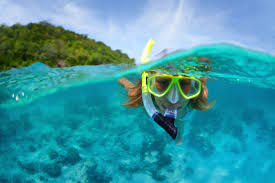 Image result for Wyndley NSC Snorkelling Club