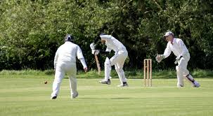 Image result for Caddington Cricket Club