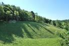 Hertfordshire Genealogy: - via Daymix