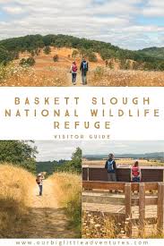 Image result for Slough Pirates