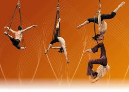 Image result for Phoenix Acro Gymnastics Club