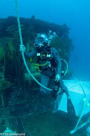 Image result for Headstream Divers