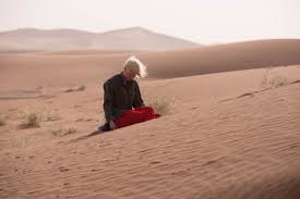 Image result for delfine bafort