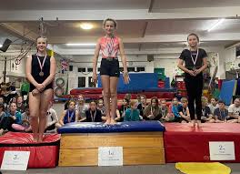 Image result for Torbay Olympic Gymnastics Club