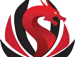 Image result for Red Dragon Taekwondo club