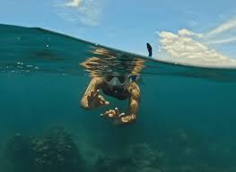 Image result for East Snorkellers