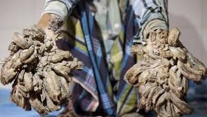 Image result for Lewandowsky-Lutz