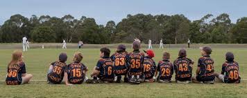 Image result for Pagham Cricket Club