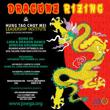 Image result for Tao So Choy Kung Fu Club, Hull