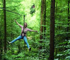 Image result for Go Ape! Thetford