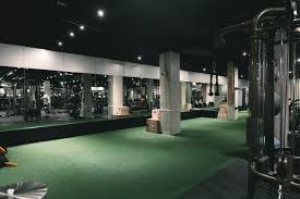 Image result for Lynx Gymnastics Club